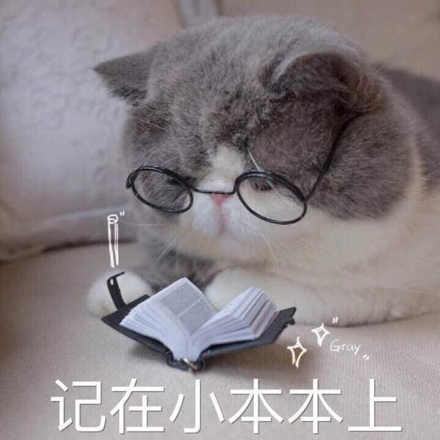 可爱猫咪表情包