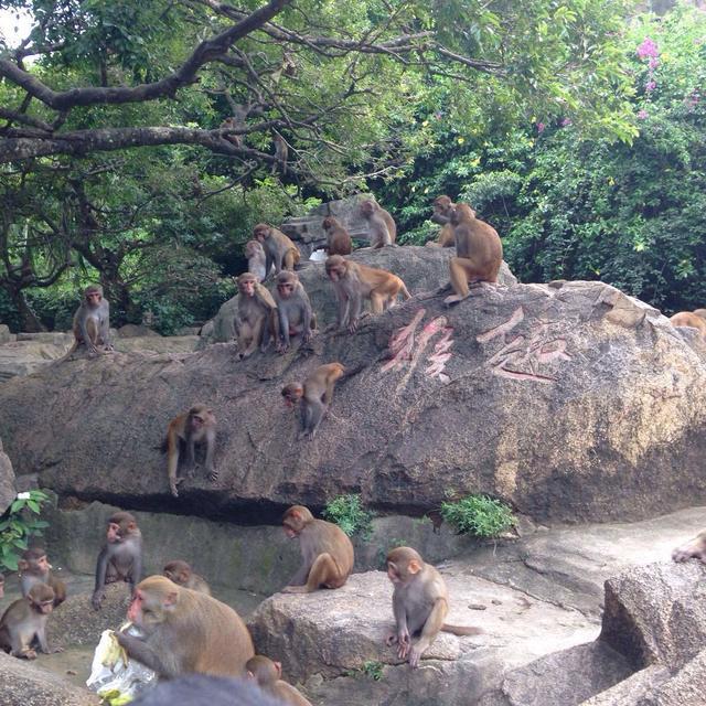 中国最尴尬省份:从原省份独立发展已30年,经济