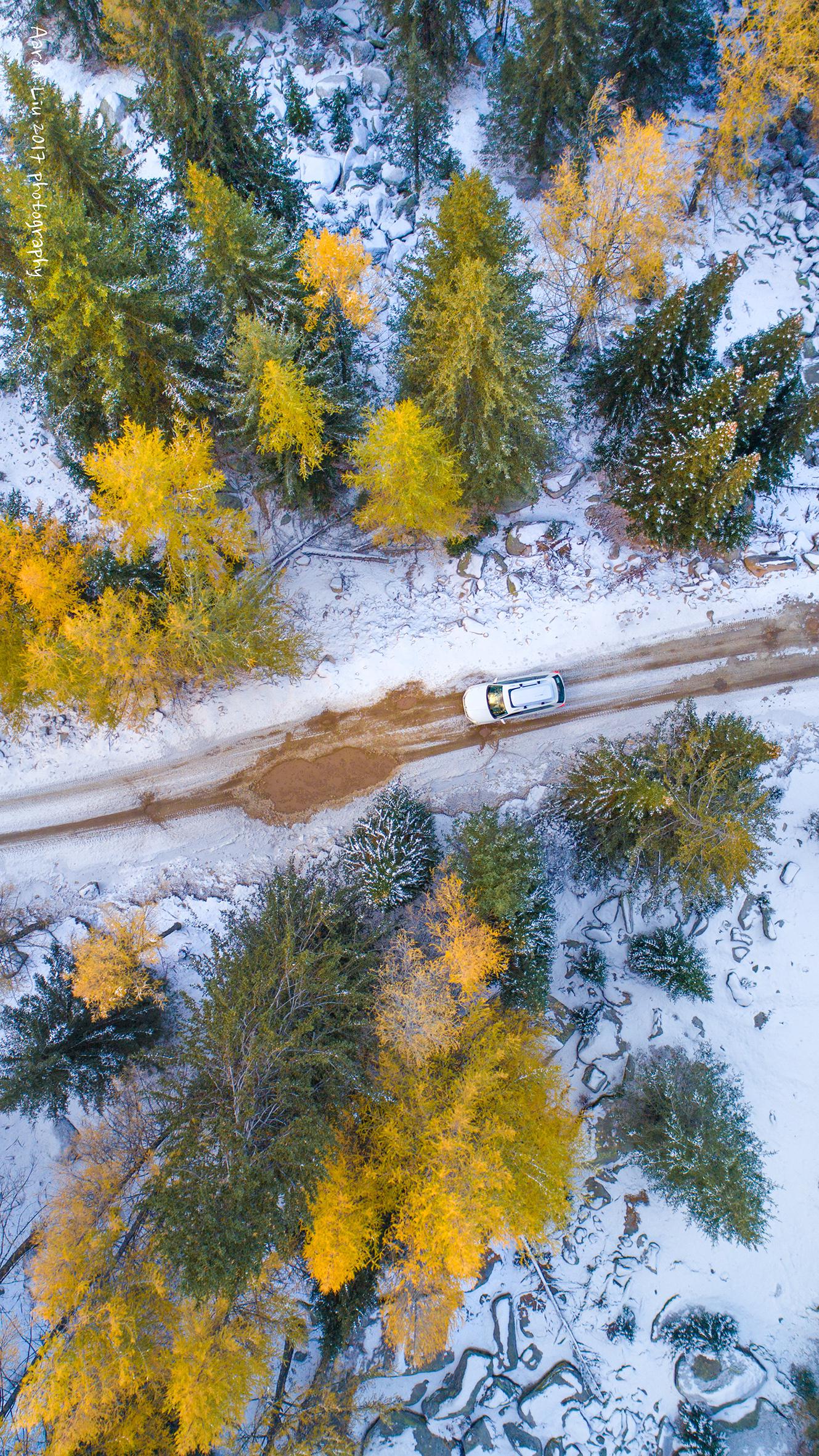 我在阿勒泰放肆的那些日子之下雪的小东沟和禾