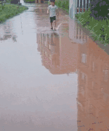 搞笑GIF:梯子不用时请横放