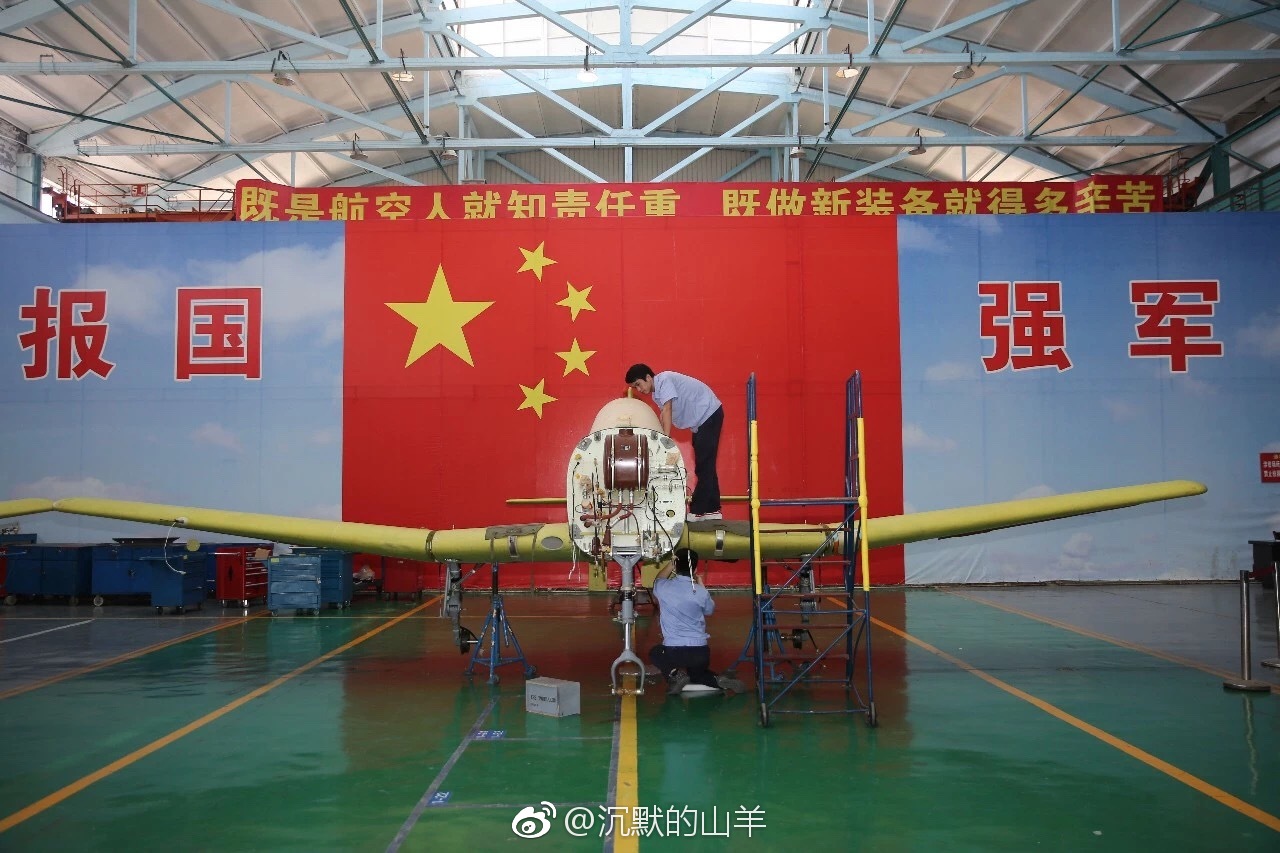 图1、图2:去掉空速管,装了雷达的空军型JL-10