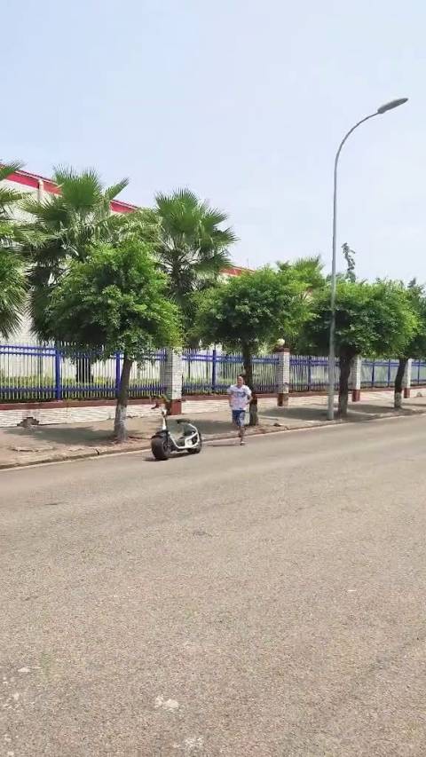 2088年午后的街道上你总能看见一些青年捕猎野生的电动车