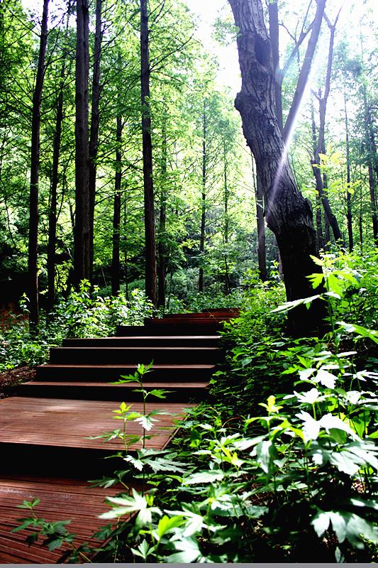 河南最西部有个山地景区,拥有名副其实的十个