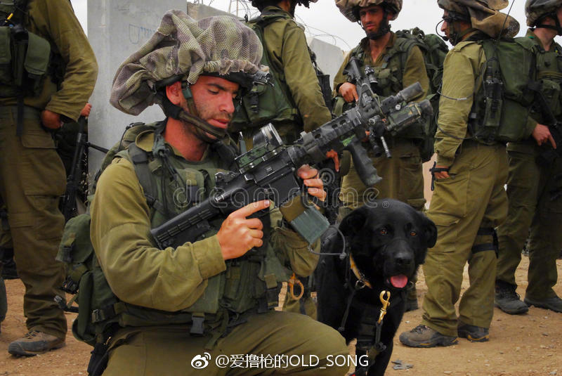 以色列国防军将在未来几周内开始在全军内部测