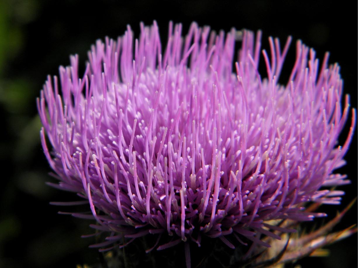 行业前景：女鸡婆日批省钱全攻略：降本40%+线上全流程避坑指南2025实测