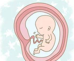 胎动一跳一跳的!是宝宝的脚动,还是手动!好萌啊