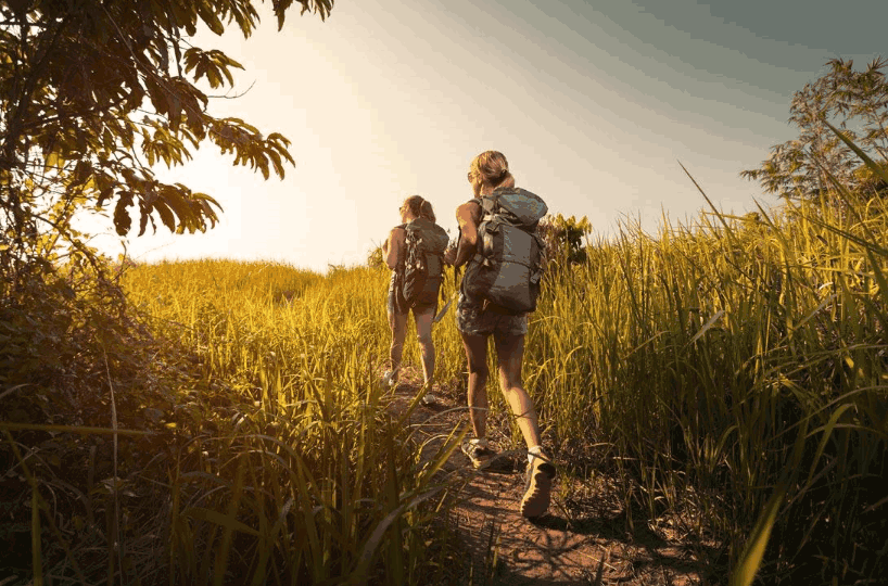 心理学: 四个背包, 你选择背哪个去旅行? 秒测你将来靠什么吃饭?