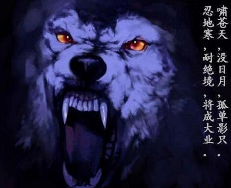 世界上最凶残的狗叫鬼面獒，没想到是炒作出来的