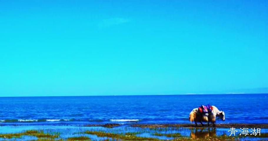 全国20个省平均工资排名,这个西部省第5,而最