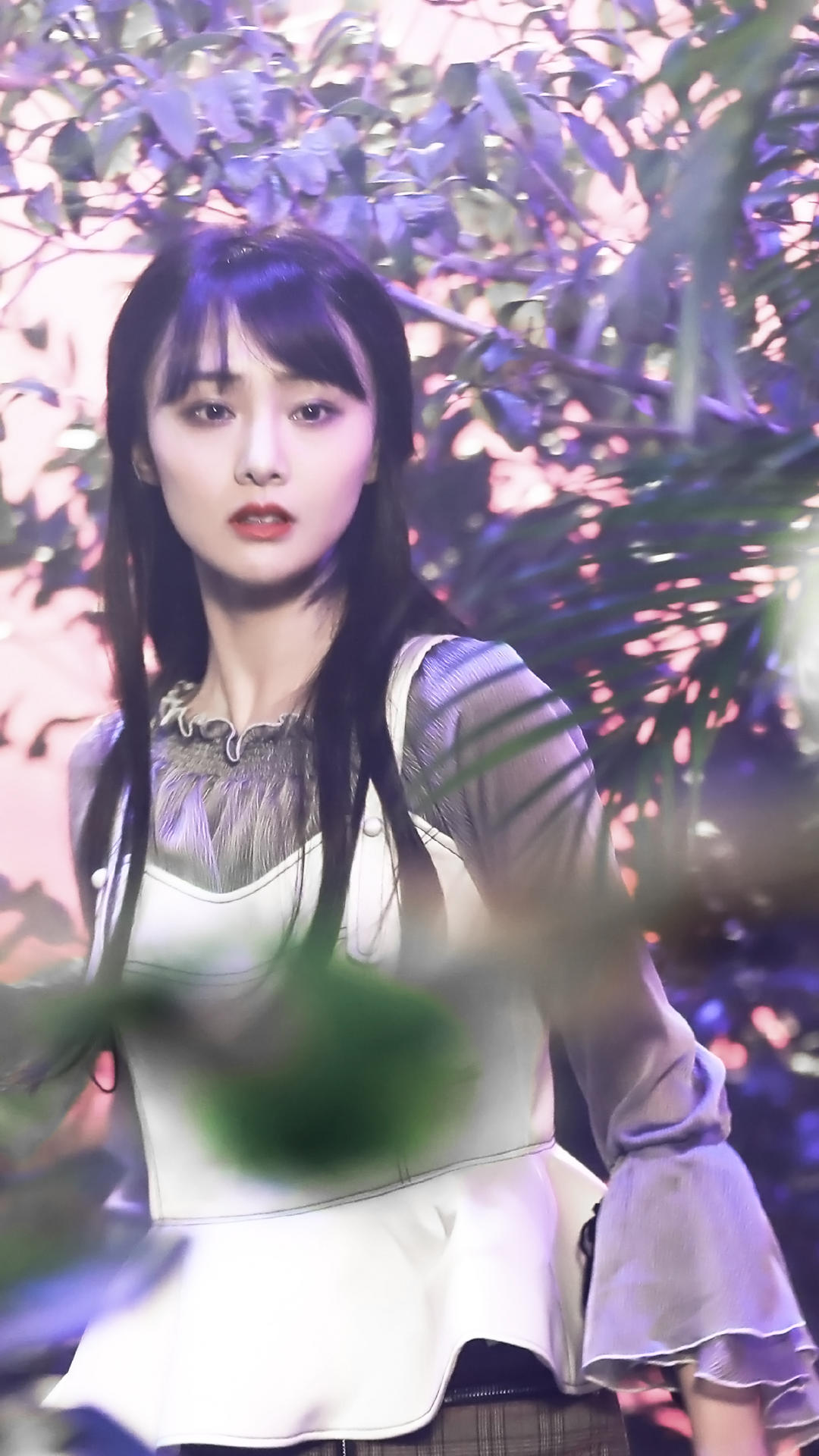 郑爽不愧是人气王,参加的综艺节目播放量如此