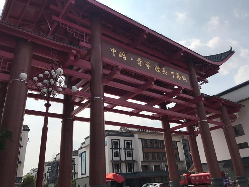 医药界第一猛人在江苏: 他力压上海首富, 远超广