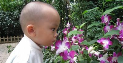 宝宝咳嗽俩月不见好,去医院检查竟得了哮喘,真