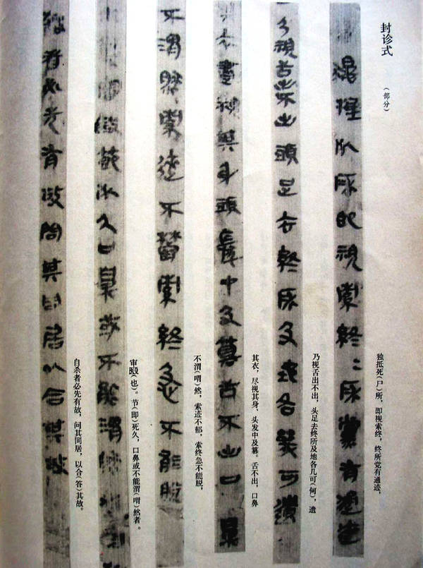 超希少本】雲夢睡虎地秦墓 (中国語) ic.sch.id