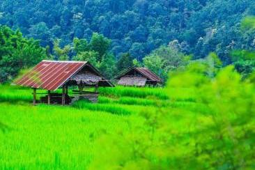 名师分享高考偷分锦囊,学生看了说幸好知道了
