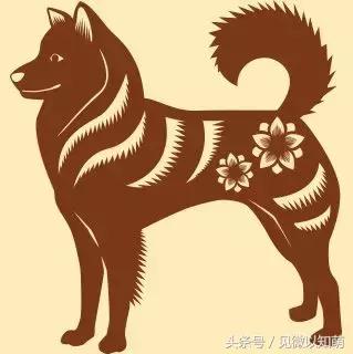 2018年容易有血光之灾的几个属相