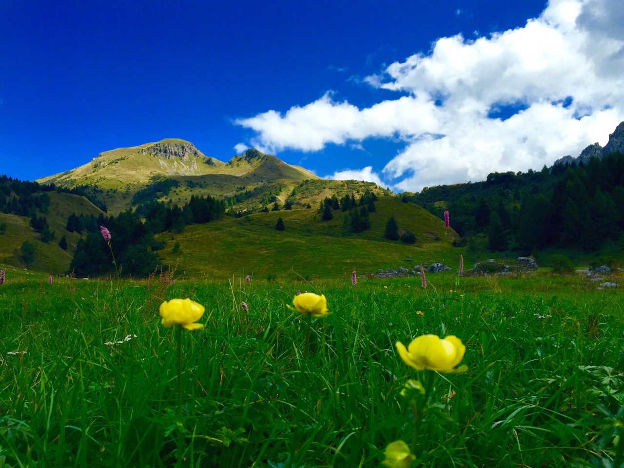 人生就像一列单程列车