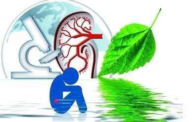 降尿蛋白, 治肾病的新药--利妥昔单抗, 将成一线