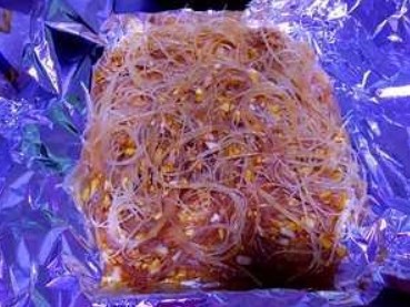 卖这一样信息,买车多的坐出售,美食也买别墅!客人不下涿州别墅图片
