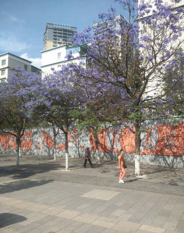 泡水的奔驰，有故事的二手车