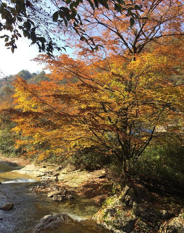 11月份适合去哪里旅游? 跟着秋天的脚步, 遇见