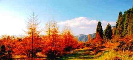 重庆这个自驾游路线鲜为人知, 沿途风景堪比加