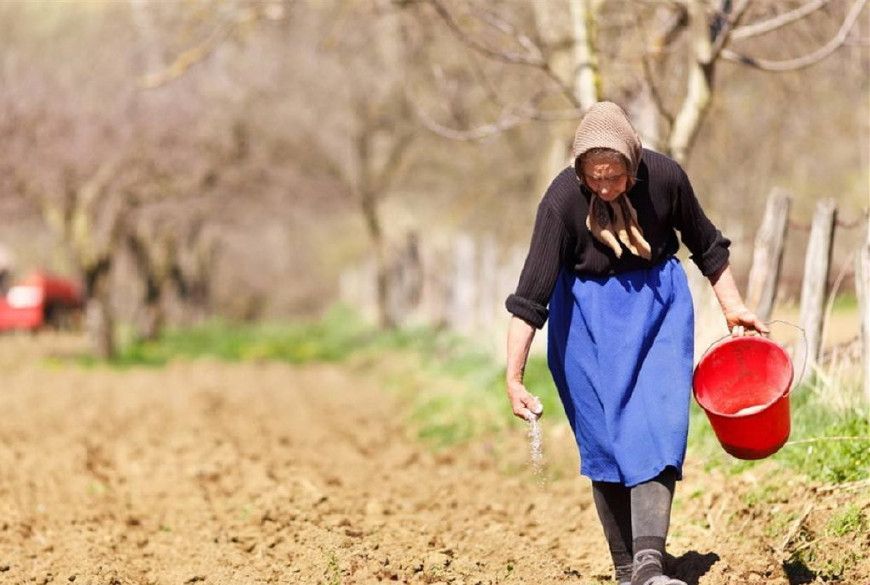 中国6亿农民,真正种田的还剩多少?这才是农村