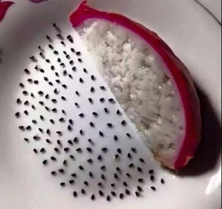 搞笑图片幽默段子笑话:火龙果去了籽之后,简直不能直视啊