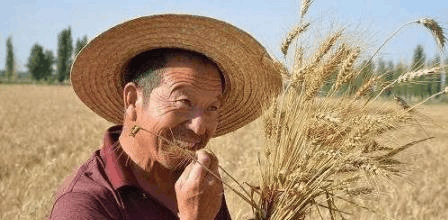 不用转回农村户口了,这三种情况,农转非也能享