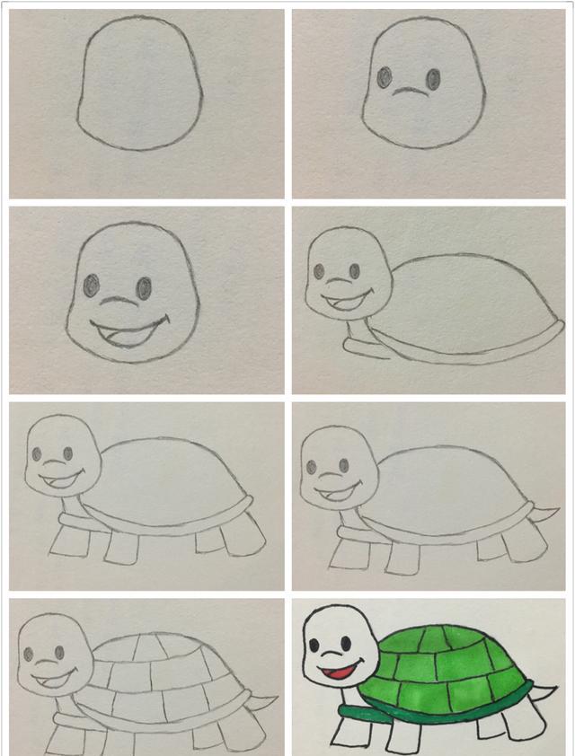 简笔画——小乌龟的画法