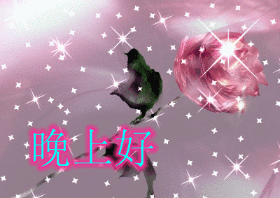 晚安问候动态美图 晚安问候祝福语大全动态