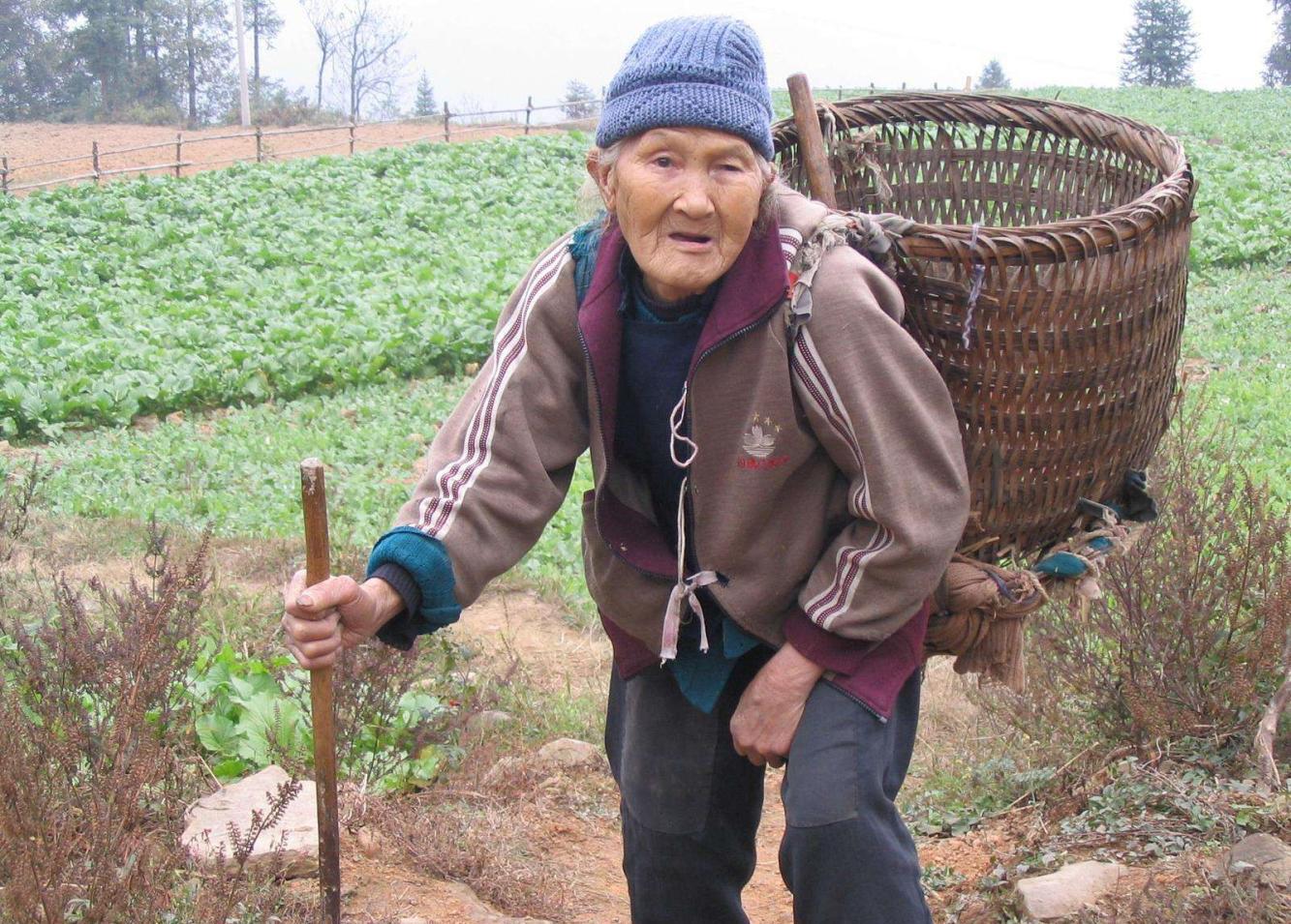84岁老人下地干活走一步歇一步：老百姓不种地吃啥啊