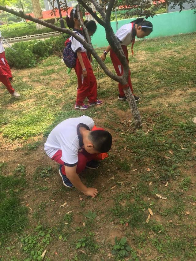 临淄:稷下小学走进华盛园献爱心