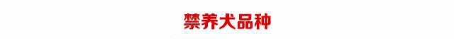 养犬证办理攻略（上海）