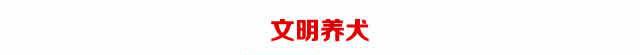 养犬证办理攻略（上海）