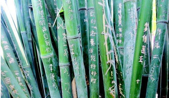 国人旅游的不文明现象