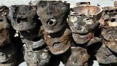 广东人吃活猴脑