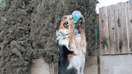 一哥爆笑gif第二期:老司机翻车啦