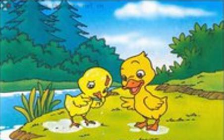 动物童话:青蛙跟小鸭子的故事