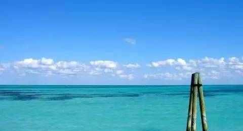 感情上拎得清的3大生肖,情商高的人相处起来很