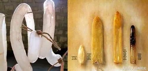 中国古代的女性如何避孕和堕胎？鱼鳔居然有这种隐秘的作用？