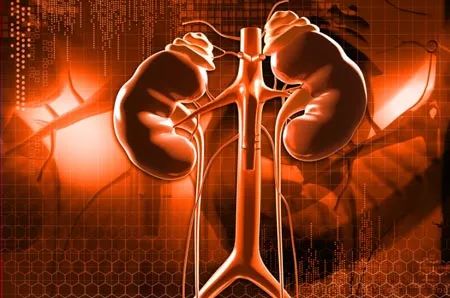 天天这样喝水,对肾脏的伤害太大了,现在改正还