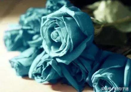 自己狠一点的霸气语录,逼自已读完这些句子!