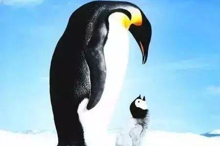 教育意义深远的8部记录片,一定要带孩子去看!