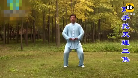八段锦每一步教学视频图片