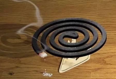 盆栽花卉经常长虫子,下面几个杀虫技巧一定要