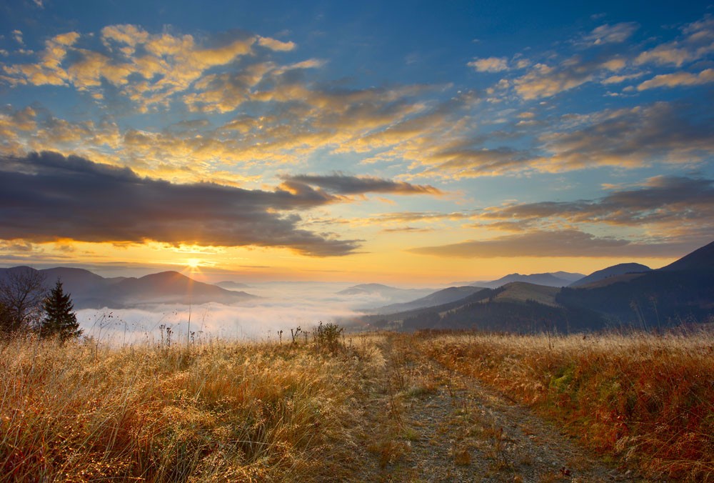 时光匆匆流逝过平平淡淡才是真忍耐任由风雨过