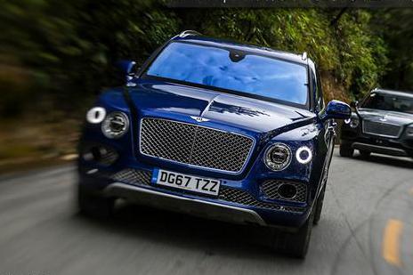 近期“宾利“动态汇总，都在这个专题里