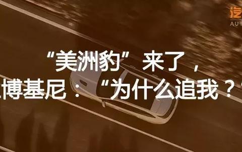 本以为是一位优雅的绅士 没想到却是如此“暴躁”！