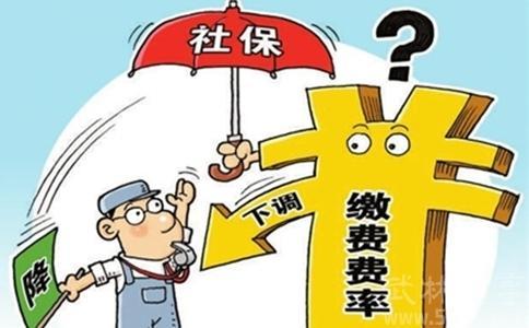 社保基金,社保基金新进重仓股票