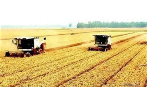 不用转回农村户口了,这三种情况,农转非也能享